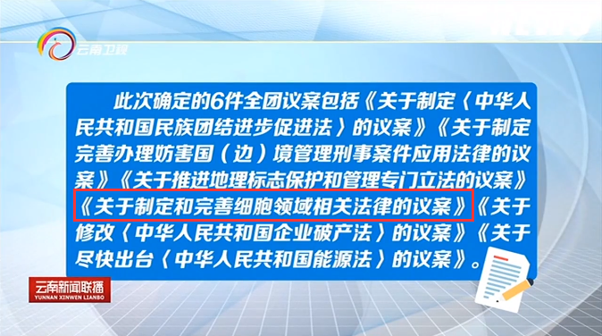 關(guān)于制定和完善細胞領(lǐng)域相關(guān)法律的議案