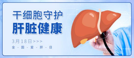 3.18全國愛(ài)肝日 | 讓干細胞療法守護您的肝臟健康