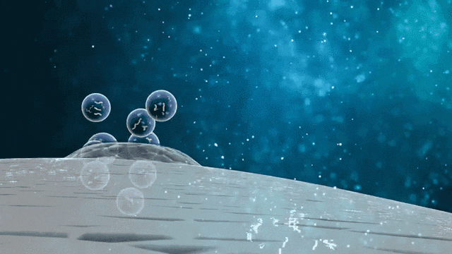 △MSCs可以通過(guò)與細胞間的相互作用，及旁分泌生物活性因子來(lái)完成機體的免疫調節