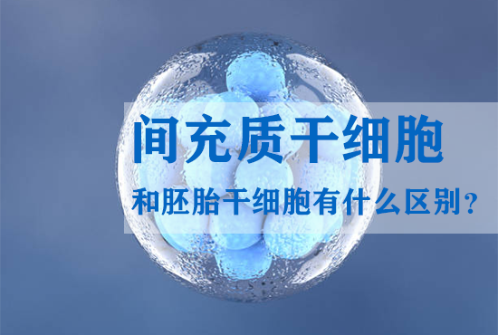 間充質(zhì)干細胞和胚胎干細胞有什么區別？