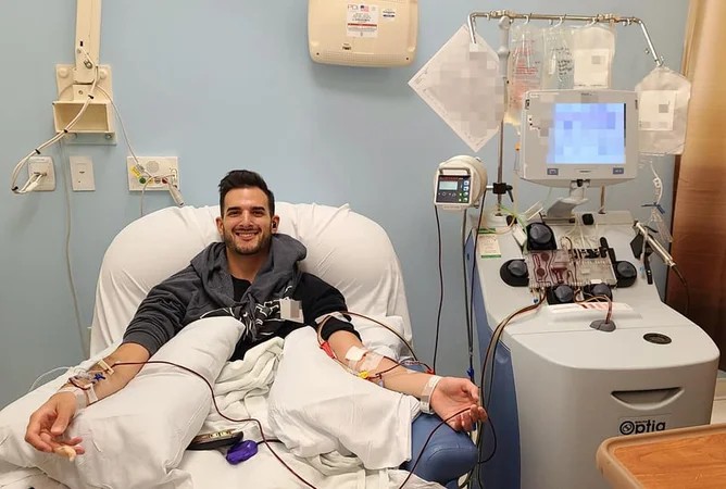 大多數干細胞是在哪里采集的？