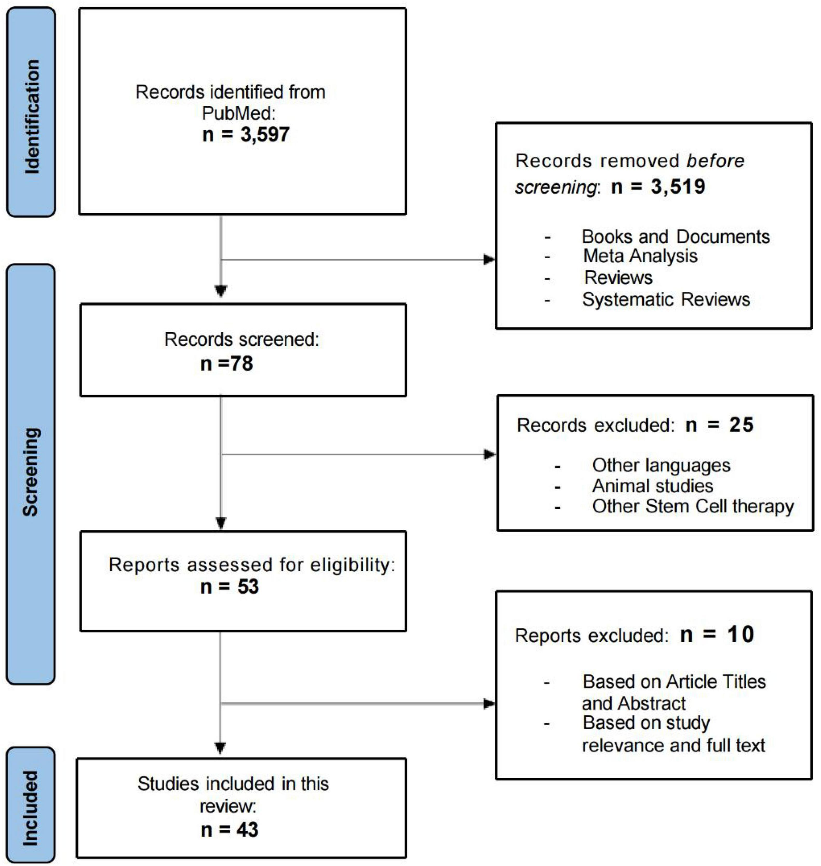 審查流程的流程圖如圖1所示。