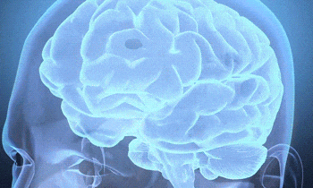 促進(jìn)神經(jīng)再生