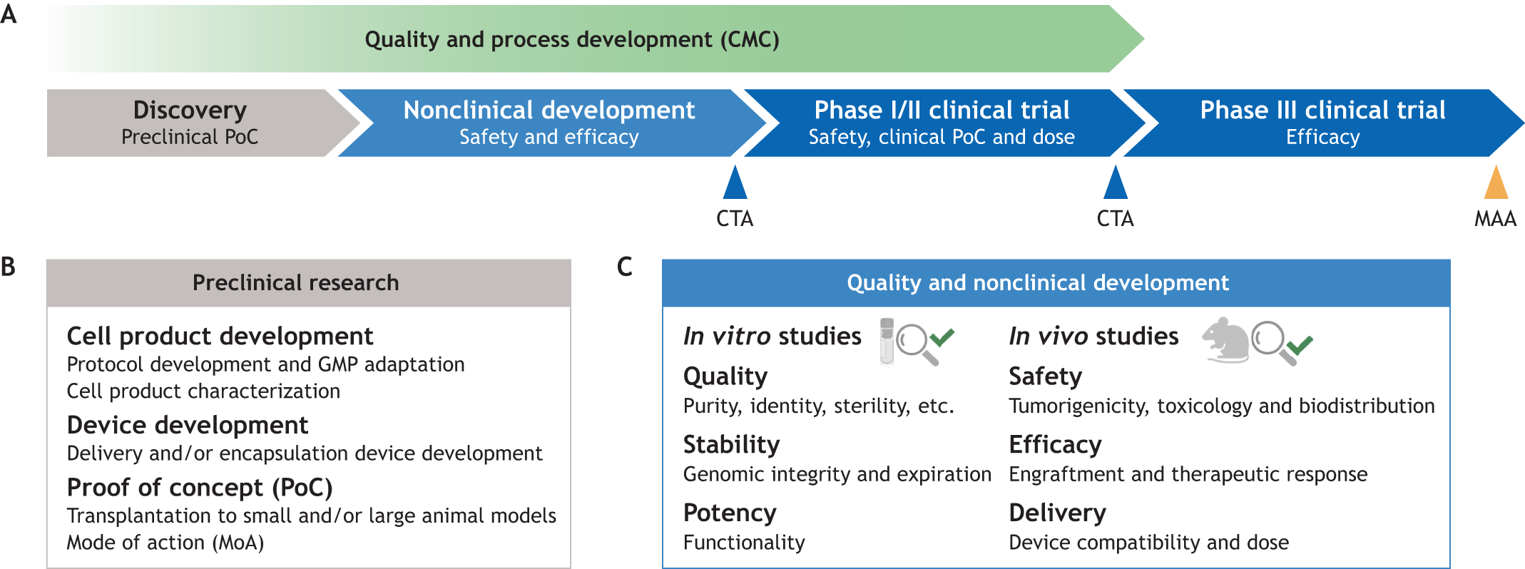 圖1：將細胞療法應用于臨床的步驟。