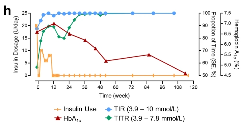 116周期間 TITR、TIR 和 HbA1c 以及胰島素劑量的臨床測量值