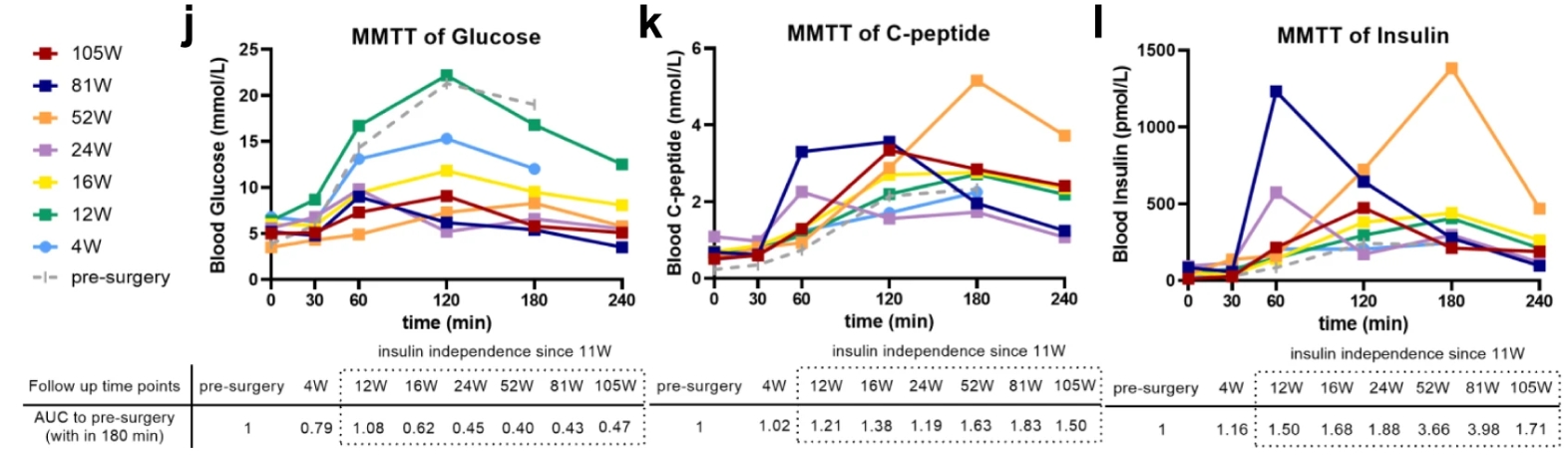 來(lái)自 MMTT 測定的血清空腹和進(jìn)餐刺激的循環(huán)葡萄糖、C 肽和胰島素水平