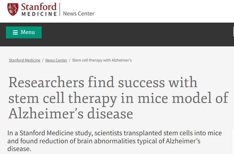 研究人員在阿爾茨海默病小鼠模型中發(fā)現干細胞療法取得成功