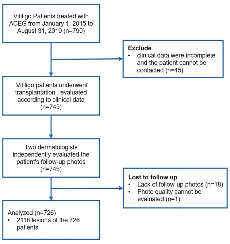 圖1：自體干細胞移植治療白癜風(fēng)的流程圖