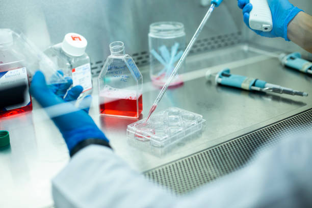 什么是再生醫學(xué)技術(shù):如何開(kāi)啟治療和康復的未來(lái) 什么是再生醫學(xué)技術(shù):如何開(kāi)啟治療和康復的未來(lái)