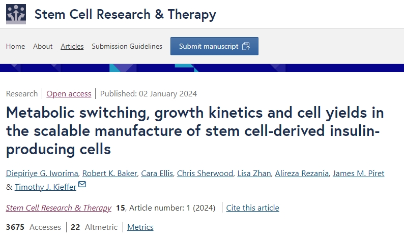 干細胞衍生的胰島素生產(chǎn)細胞的可擴展制造中的代謝轉換、生長(cháng)動(dòng)力學(xué)和細胞產(chǎn)量