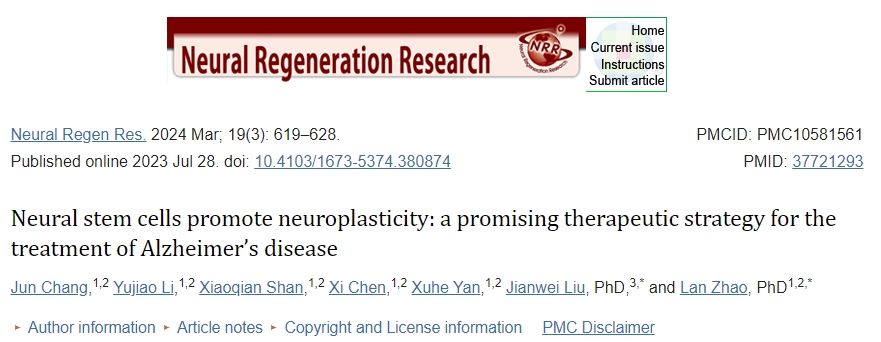 神經(jīng)干細胞促進(jìn)神經(jīng)可塑性：一種治療阿爾茨海默病的有前途的治療策略