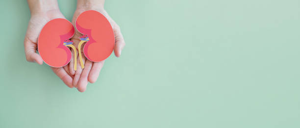 慢性腎病治療，你了解這6種方法嗎？