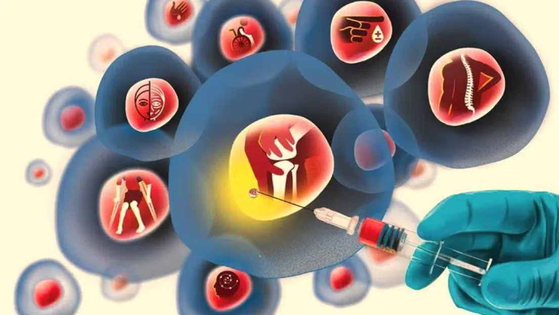 干細胞與再生醫學(xué)