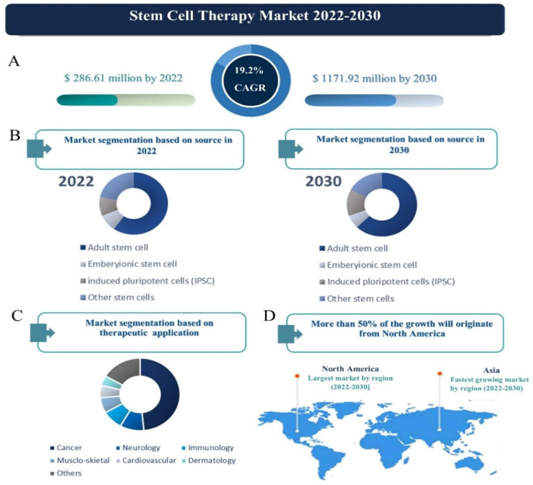 干細胞治療市場(chǎng) 2022-2030