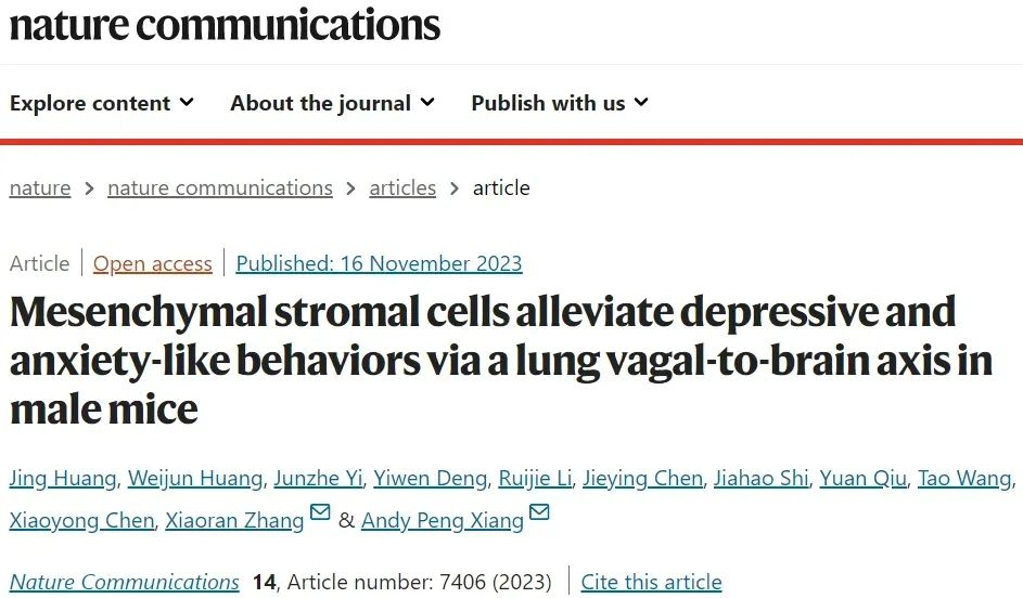 間充質(zhì)基質(zhì)細胞通過(guò)肺迷走神經(jīng)-腦軸緩解雄性小鼠的抑郁和焦慮樣行為