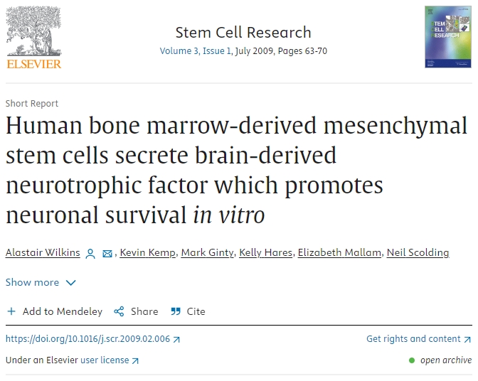 人類(lèi)骨髓間充質(zhì)干細胞分泌腦源性神經(jīng)營(yíng)養因子，促進(jìn)體外神經(jīng)元存活
