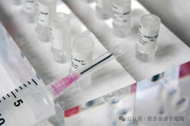 優(yōu)化間充質(zhì)干細胞移植的給藥途徑和常用劑量：現狀和新前沿