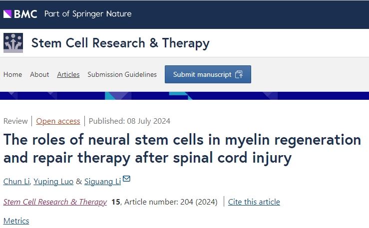 神經(jīng)干細胞移植在修復脊髓損傷后髓鞘再生和治療中的作用