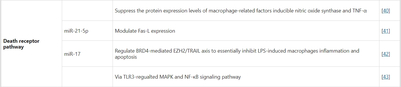 內源性途徑（死亡受體通路）