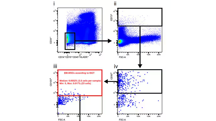 研究人員通過(guò)一系列步驟篩選數據，在骨髓漿中尋找這些干細胞。他們找到了 3.5 個(gè)。?