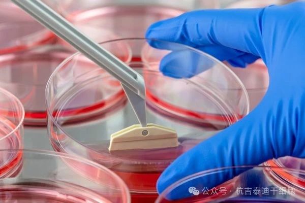 什么是干細胞療法？