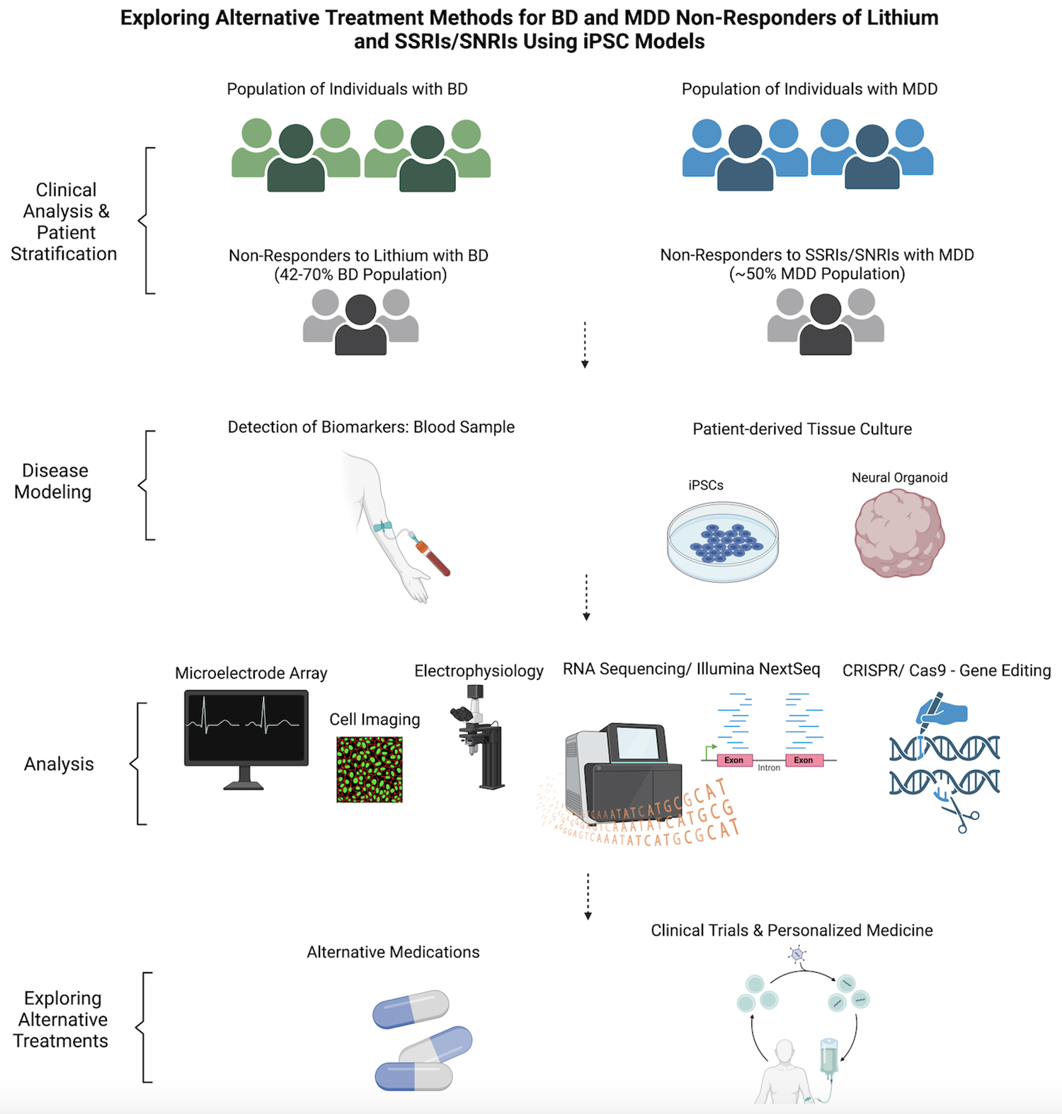 芹菜素更有效地減弱了BD患者iPSC衍生星形膠質(zhì)細胞的炎癥反應。