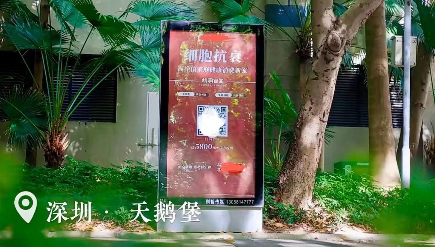 這些政策的出臺，為深圳的細胞和基因治療領(lǐng)域再次注入了新的活力。