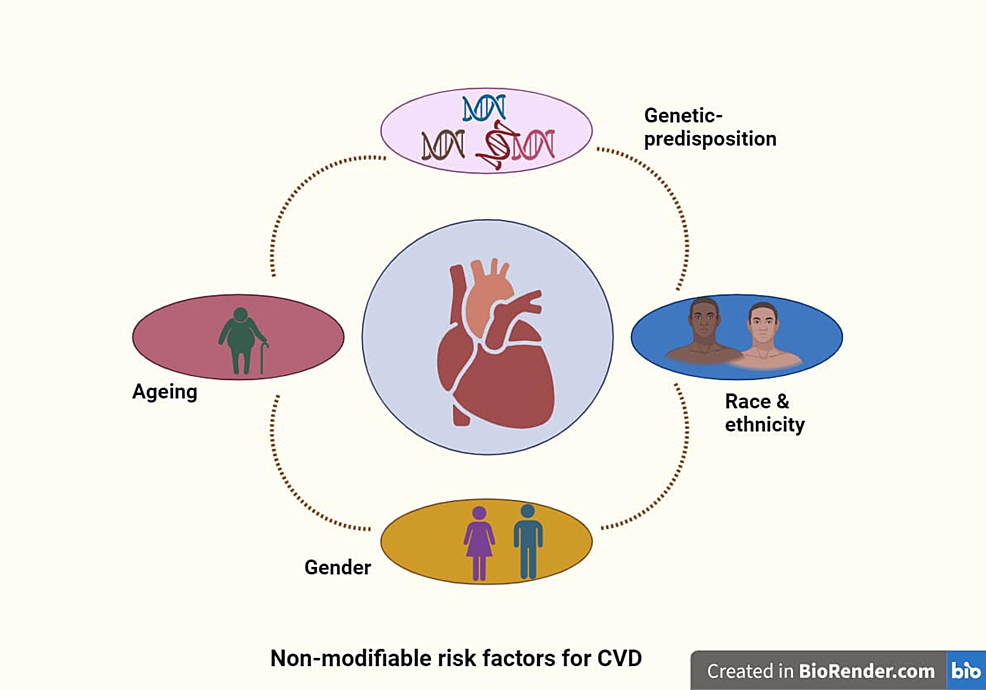 圖1：心血管疾病的不可改變的風(fēng)險因素。