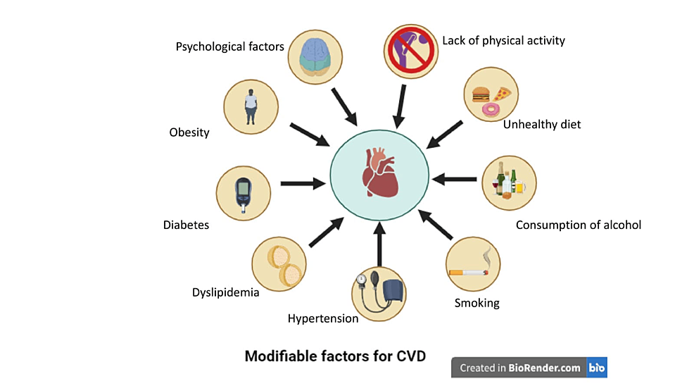 圖2：心血管疾病的可改變風(fēng)險因素