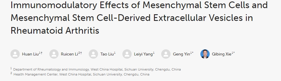 間充質(zhì)干細胞及其衍生的細胞外囊泡在類(lèi)風(fēng)濕關(guān)節炎中的免疫調節作用