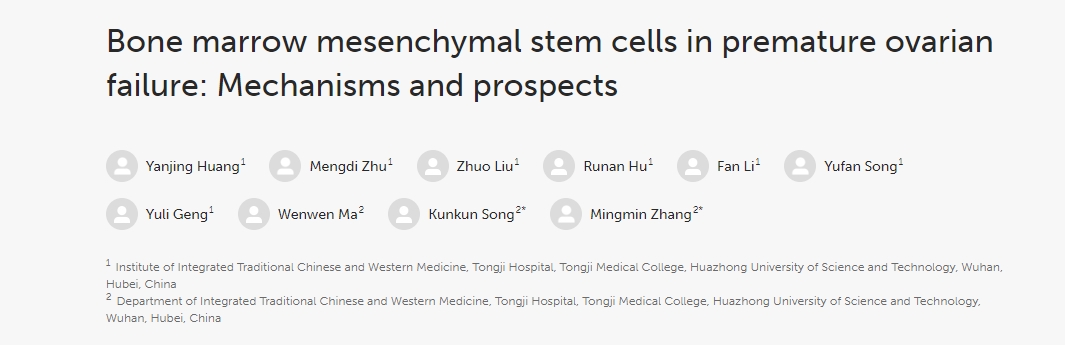 骨髓間充質(zhì)干細胞在卵巢早衰中的作用：機制與前景