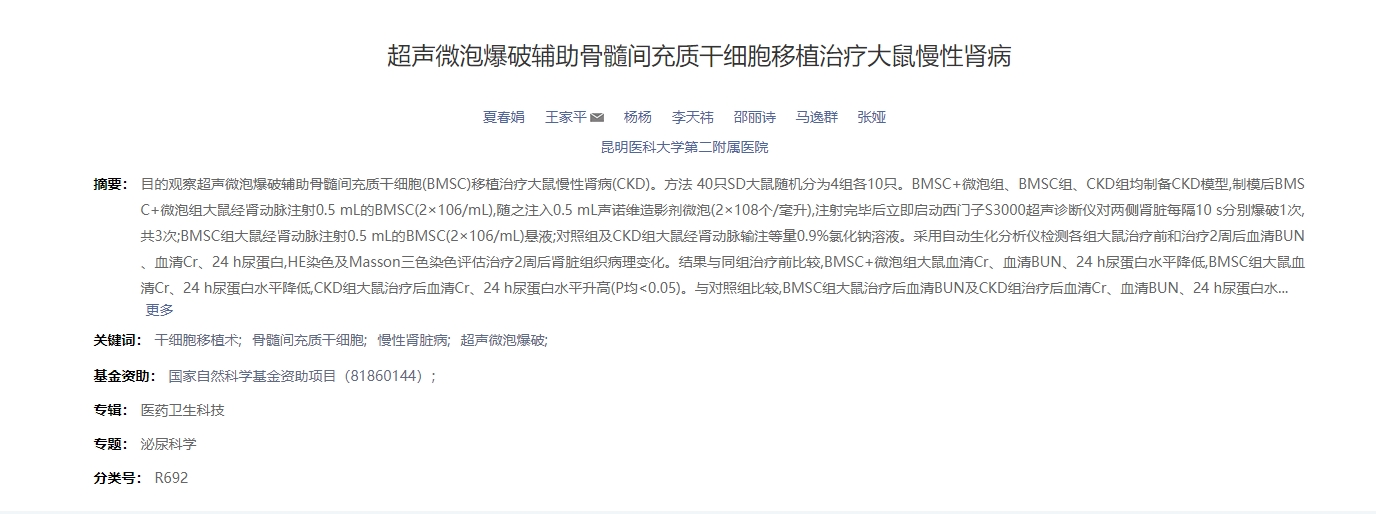 聲微泡爆破輔助骨髓間充質(zhì)干細胞移植治療大鼠慢性腎病