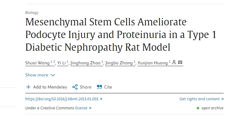 間充質(zhì)干細胞改善1型糖尿病腎病大鼠模型中的足細胞損傷和蛋白尿