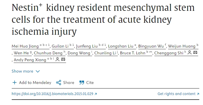 Nestin?+腎臟駐留間充質(zhì)干細胞治療急性腎缺血損傷