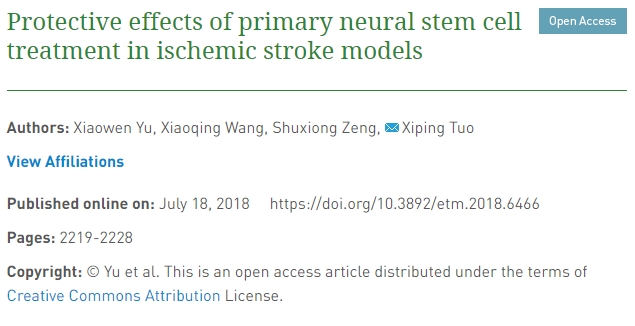 原發(fā)性神經(jīng)干細胞治療對缺血性中風(fēng)模型的保護作用