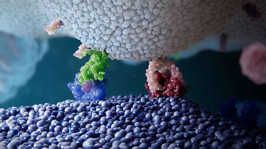 他的團隊發(fā)現了一種名為A20的關(guān)鍵蛋白