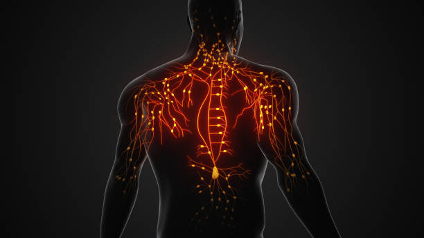 腦和脊髓創(chuàng  )傷是重大的公共衛生挑戰