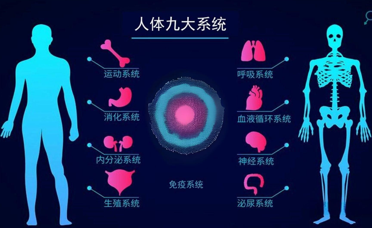 2024干細胞療法前沿：九大系統7200+臨床試驗，攻克200+疾病在即