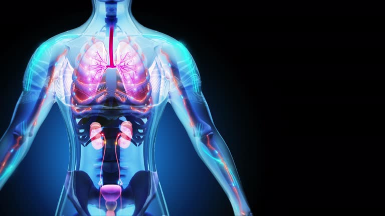 干細胞療法可以重建腎臟功能嗎？