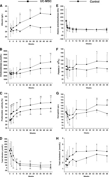 UC-MSC 輸血對肝功能的影響。