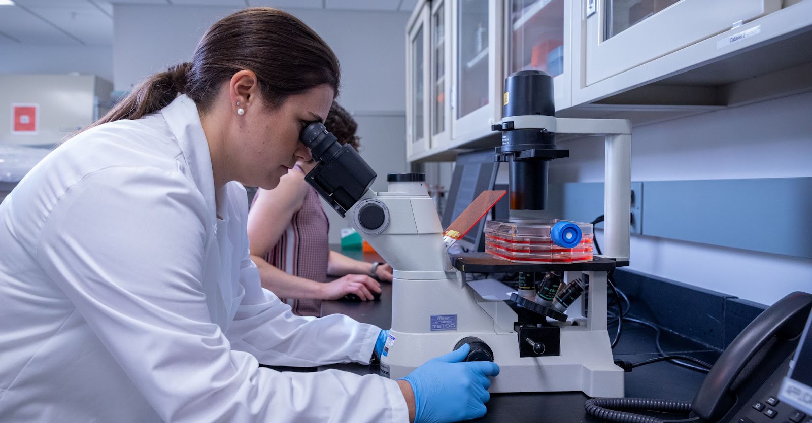 在干細胞用于治療之前，必須對其進(jìn)行適當的激活和培養。