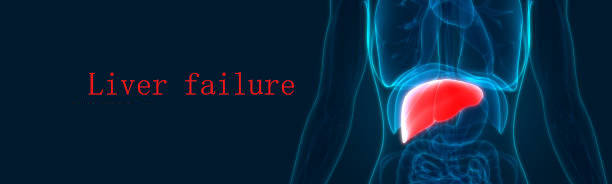 兩大醫院證明：干細胞療法能夠提高肝衰竭患者生存率并且改善肝功能！