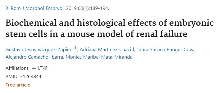 胚胎干細胞在小鼠腎衰竭中的生化和組織學(xué)作用