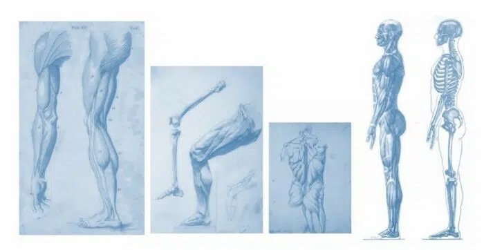 運動(dòng)系統疾病如何治療？間充質(zhì)干細胞的治療效果怎么樣？