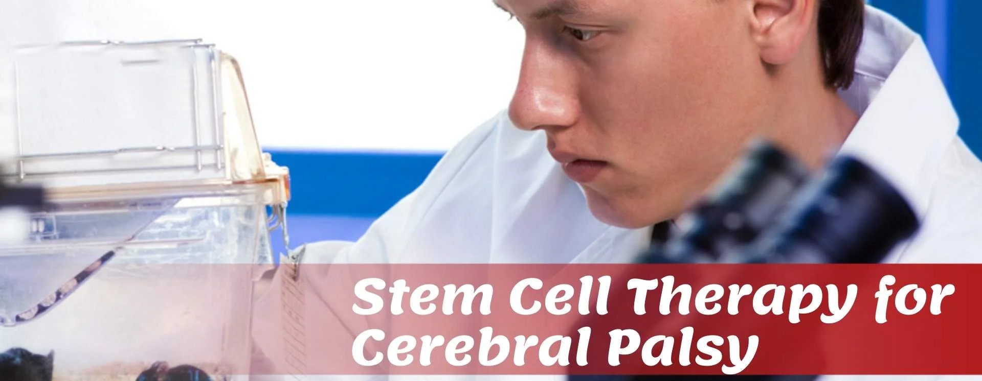 2019-2024年干細胞治療腦癱的臨床研究進(jìn)展