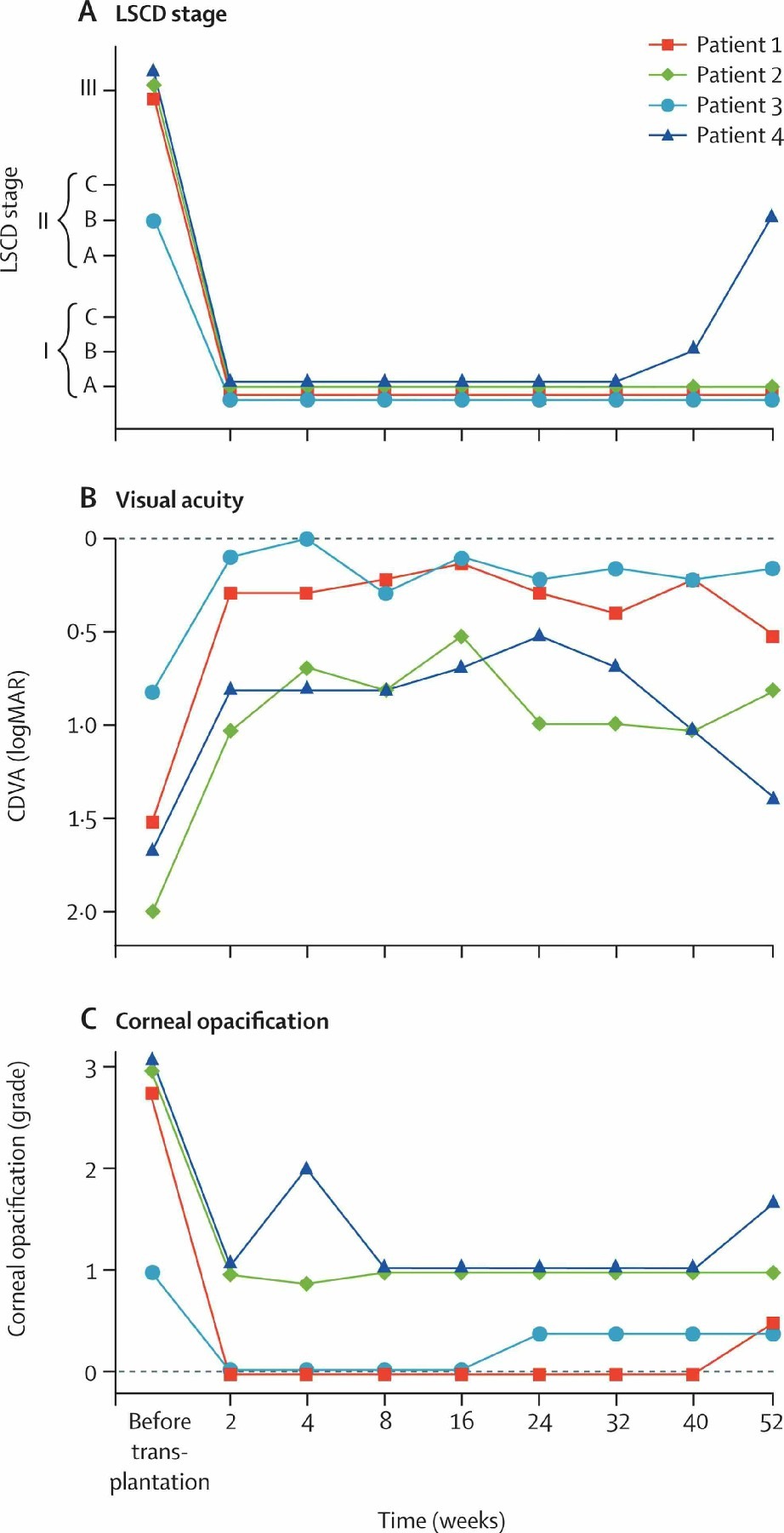圖2：LSCD 分期、視力和角膜混濁