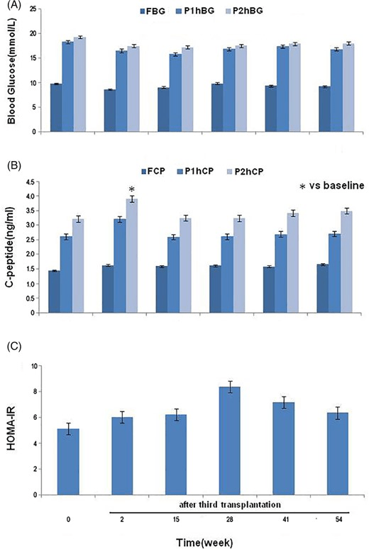 圖2：饅頭餐試驗中糖代謝及胰島功能的變化。