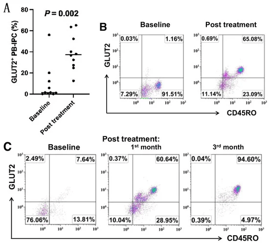 圖1：接受干細胞教育療法治療后，患者中GLUT2+CD45RO+PB-IPC 的百分比增加