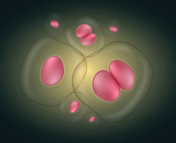 哪些類(lèi)型的干細胞適合治療？