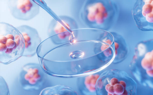 靜脈注射間充質(zhì)干細胞是安全的嗎？一項包含2504名受試者的研究給出了答案！